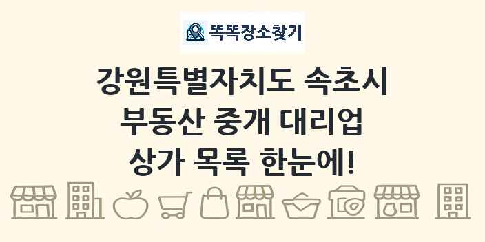 강원특별자치도 속초시 부동산 중개 대리업 상가 목록 및 정보