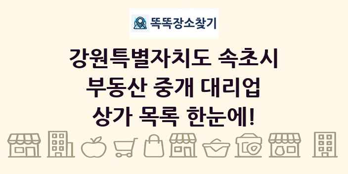 강원특별자치도 속초시 부동산 중개 대리업 상가 목록 및 정보