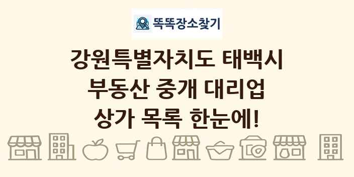 강원특별자치도 태백시 부동산 중개 대리업 상가 목록 및 정보