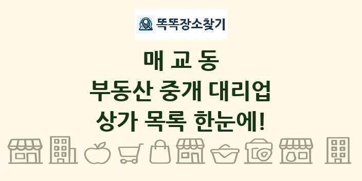 매교동 부동산 중개 대리업 상가 목록 및 정보
