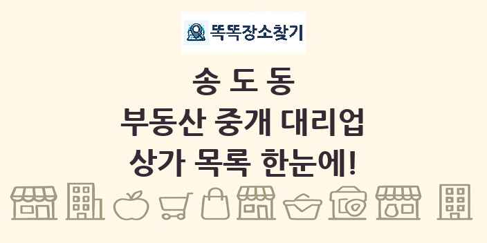 송도동 부동산 중개 대리업 상가 목록 및 정보