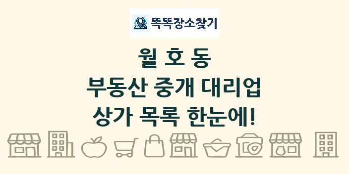 월호동 부동산 중개 대리업 상가 목록 및 정보
