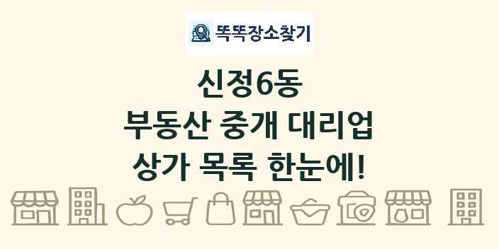 신정6동 부동산 중개 대리업 상가 목록 및 정보