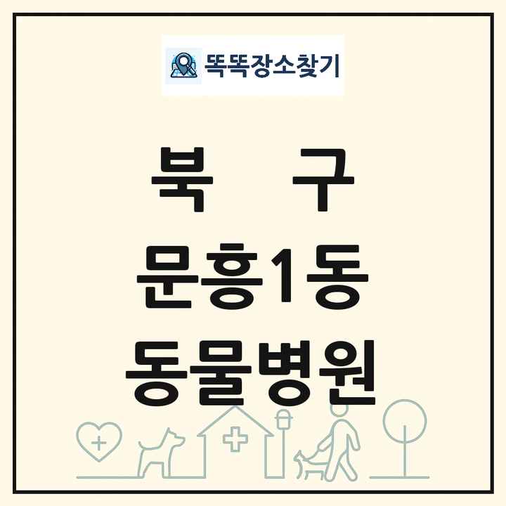 광주광역시 북구 문흥1동 동물병원 목록 및 상세정보 썸네일